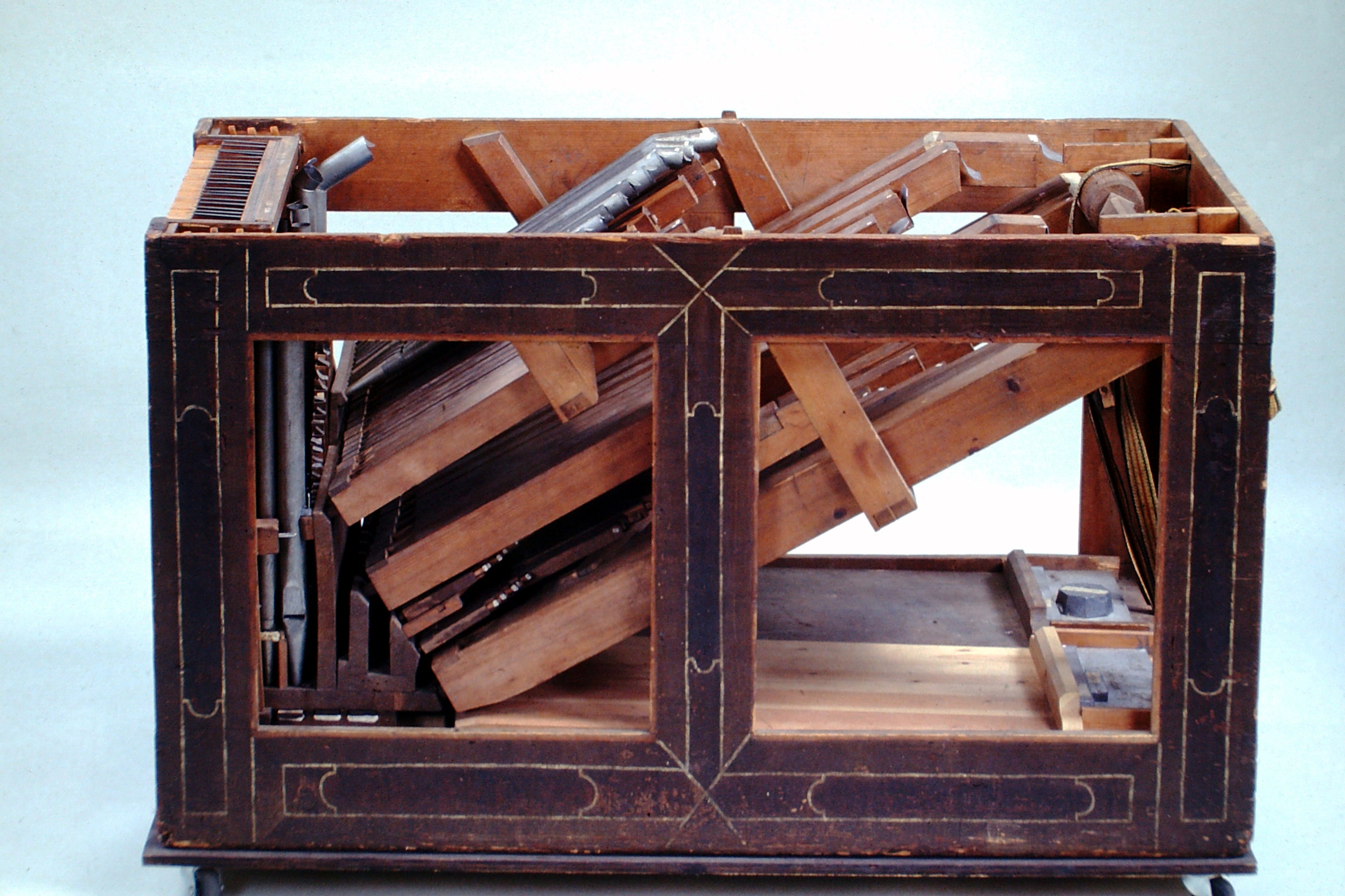 Positive Organ
