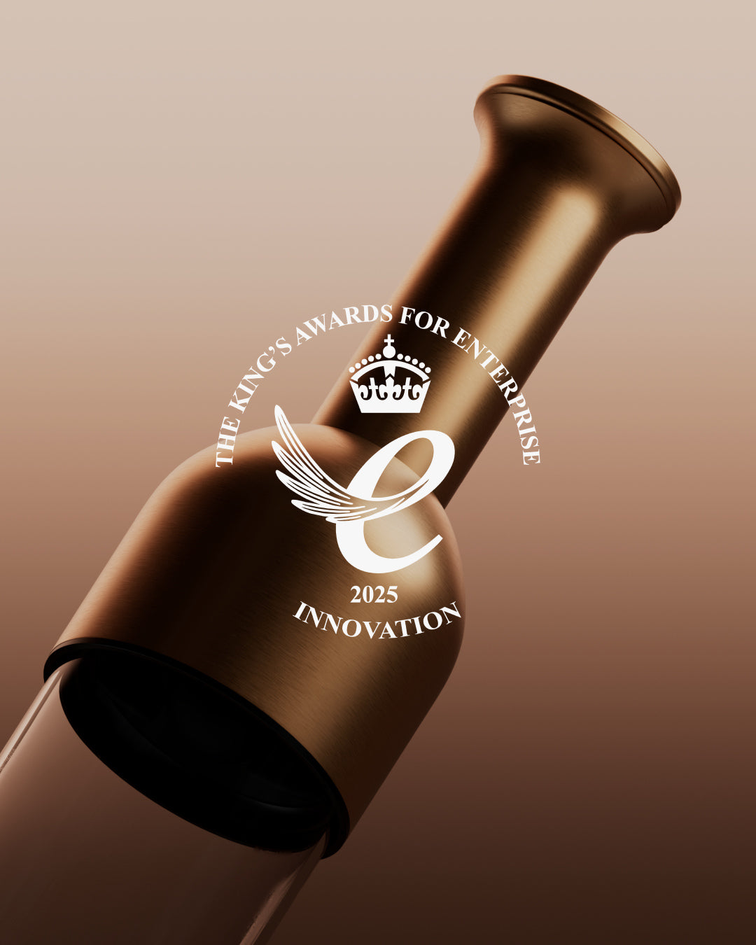 ETO, 750 Wine Decanter & Preserver